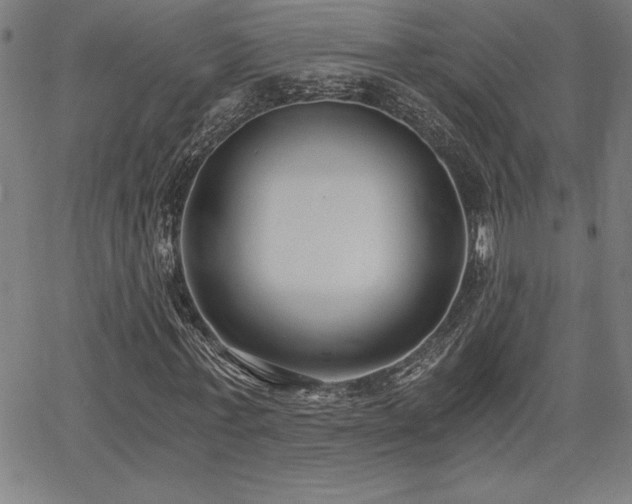 X0000068260771200604211044