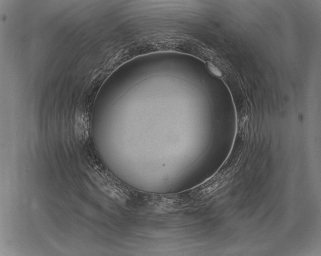 X0000068260772200604211043