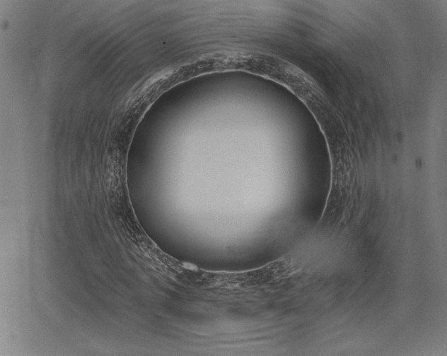 X0000068260773200604211043