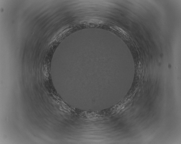 X0000068260774200604211043