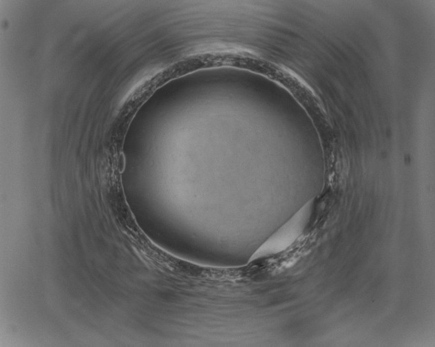 X0000068260775200604211043