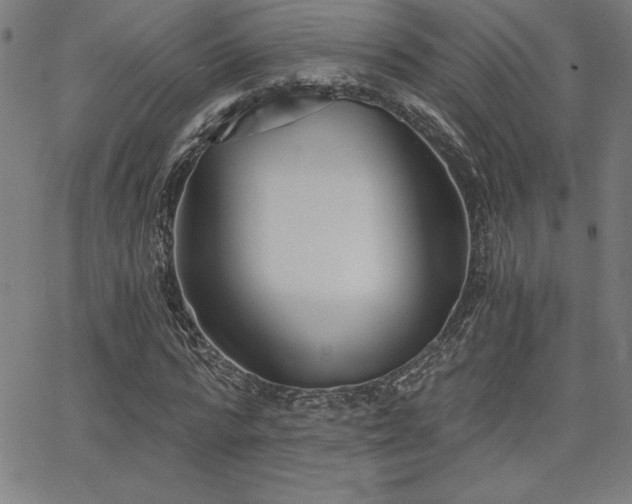 X0000068260776200604211043