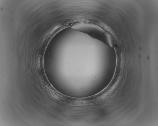 X0000068260777200604211043