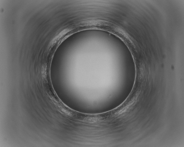 X0000068260778200604211043