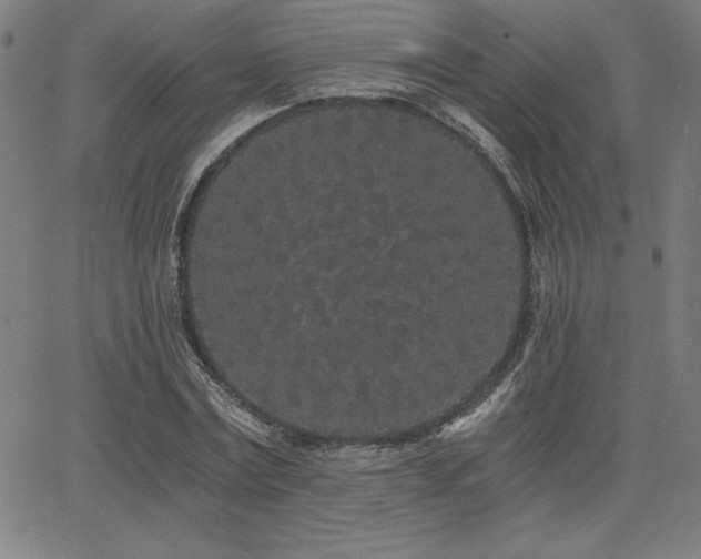 X0000068260779200604211043