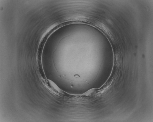 X0000068260780200604211043