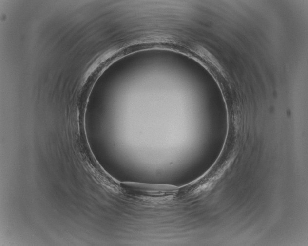 X0000068260781200604211043