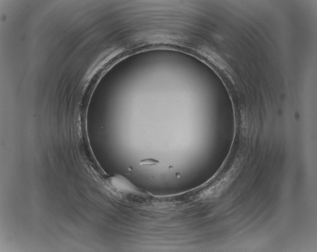 X0000068260782200604211043