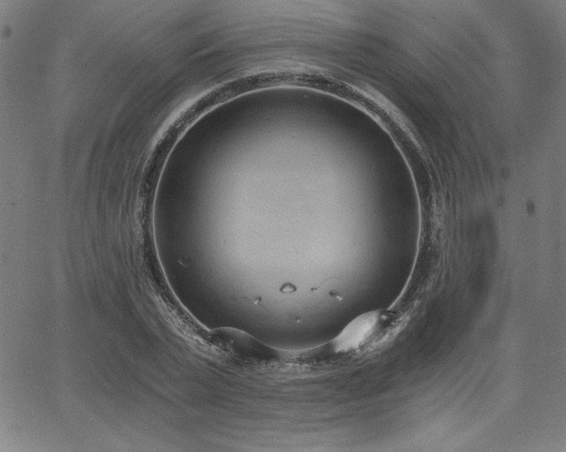 X0000068260783200604211043