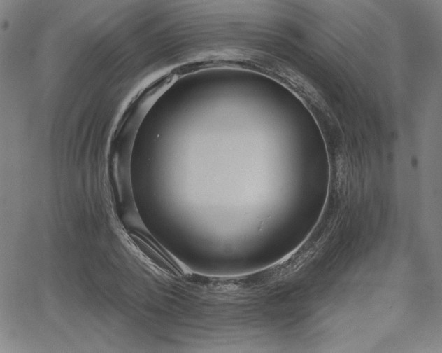 X0000068260784200604211043