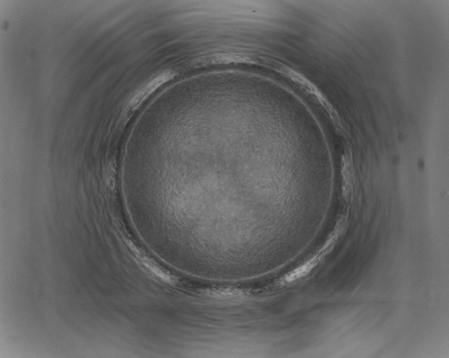 X0000068260785200604211043