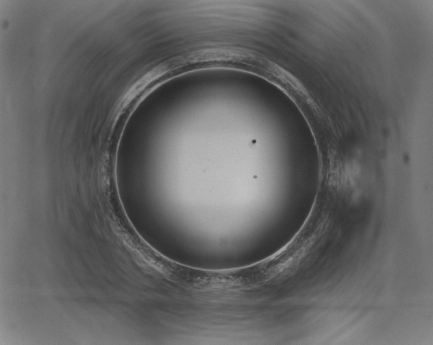 X0000068260786200604211043