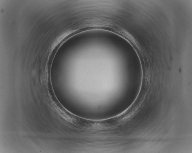 X0000068260787200604211043