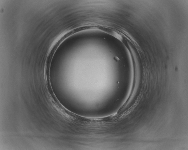 X0000068260788200604211043