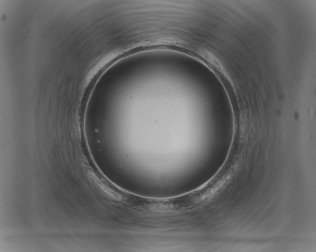 X0000068260789200604211043