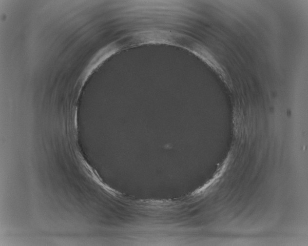 X0000068260790200604211043