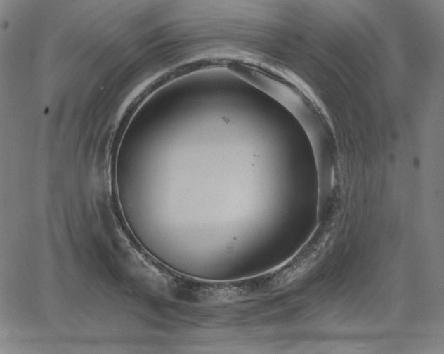 X0000068260791200604211043