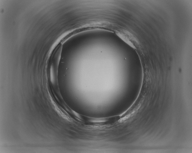 X0000068260792200604211043