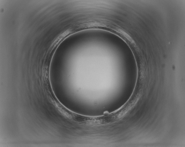 X0000068260793200604211043