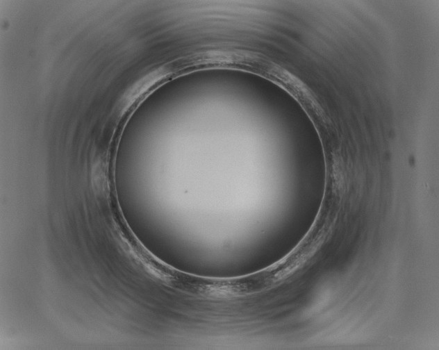 X0000068260794200604211043