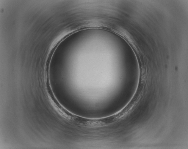 X0000068260795200604211043