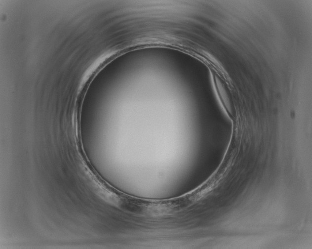 X0000068260796200604211043