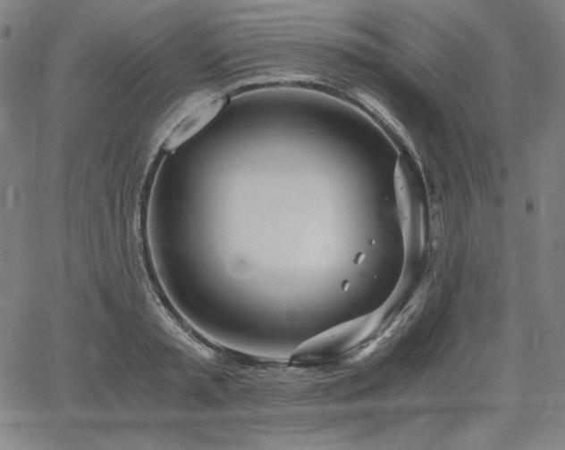 X0000068260797200604211043