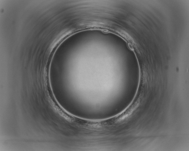 X0000068260798200604211043