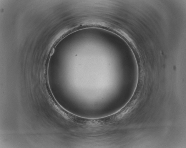 X0000068260799200604211043