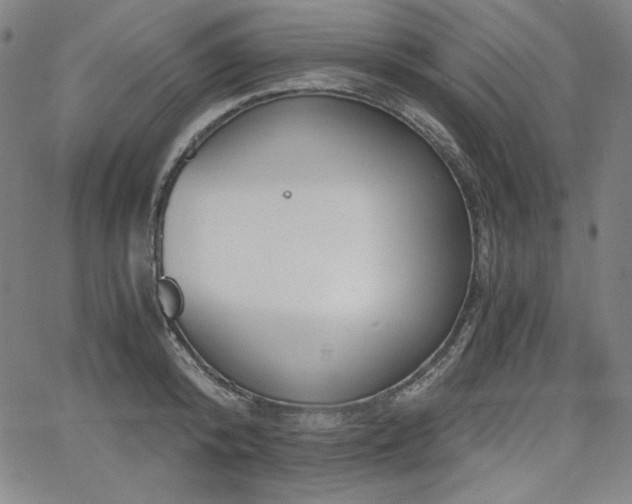 X0000068260800200604211043