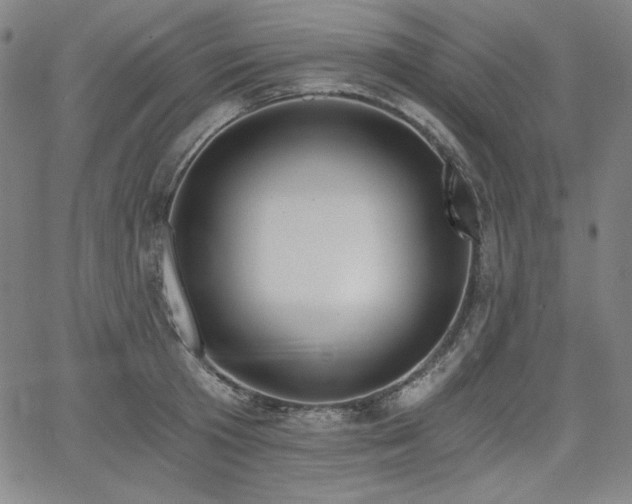 X0000068260801200604211043