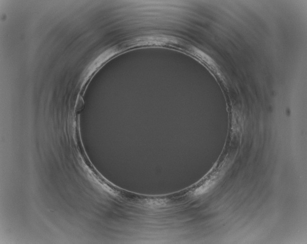 X0000068260802200604211043