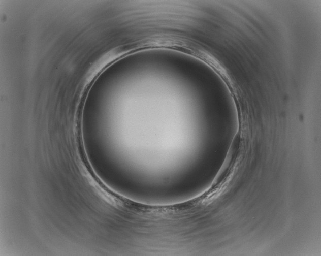 X0000068260803200604211043