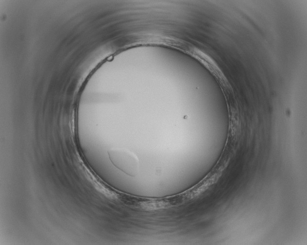 X0000068260804200604211043