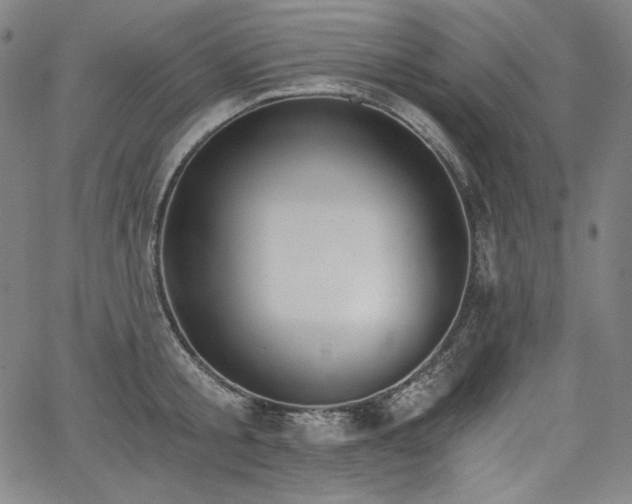 X0000068260805200604211043