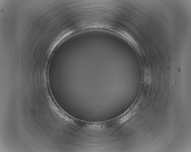 X0000068260806200604211043