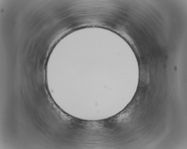 X0000068260807200604211043