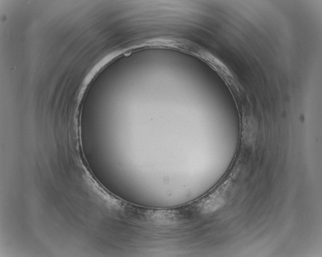 X0000068260808200604211043