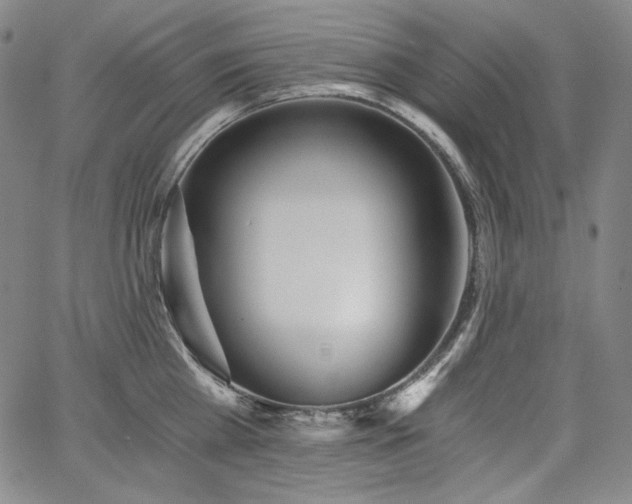 X0000068260809200604211043