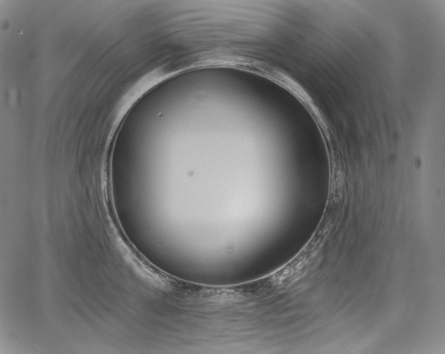 X0000068260811200604211043