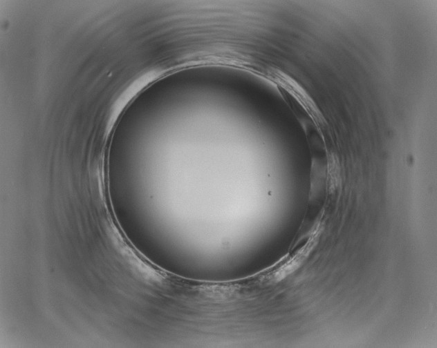 X0000068260812200604211043