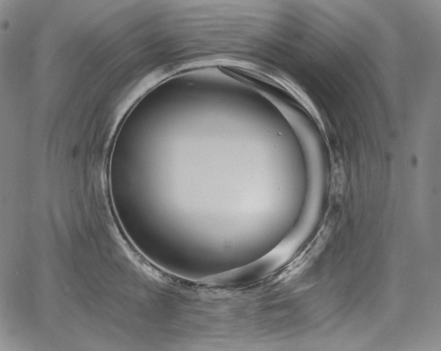 X0000068260813200604211043