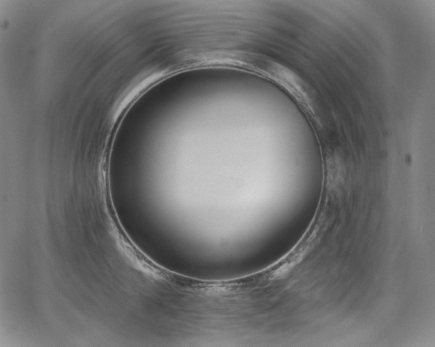 X0000068260814200604211043