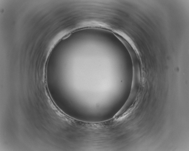 X0000068260815200604211043