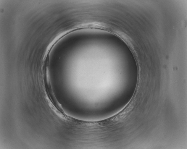 X0000068260816200604211043