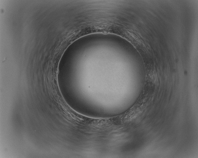 X0000068260817200604211042