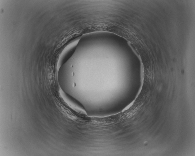 X0000068260818200604211042