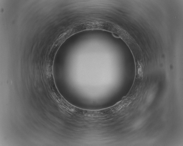 X0000068260819200604211042