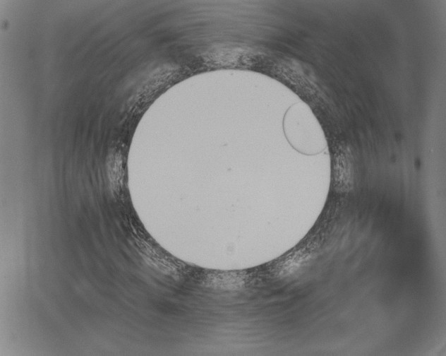 X0000068260820200604211042