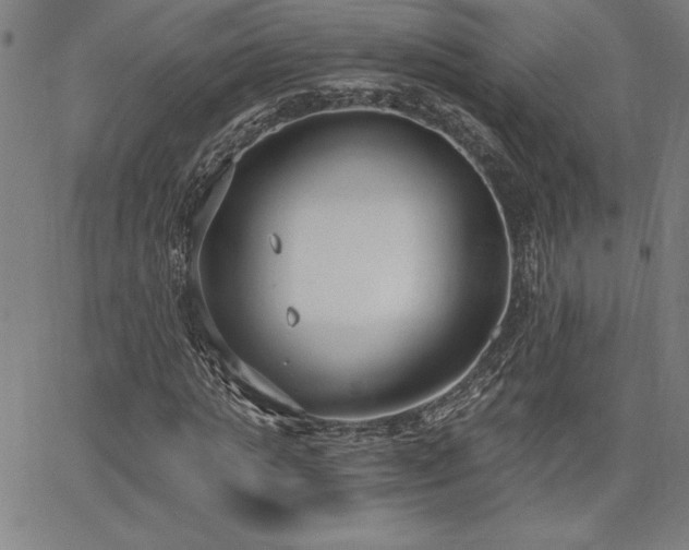 X0000068260821200604211042